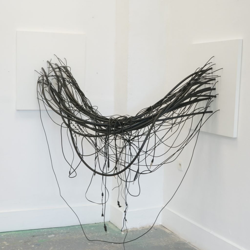 Synapse - David Dubosc artiste contemporain
